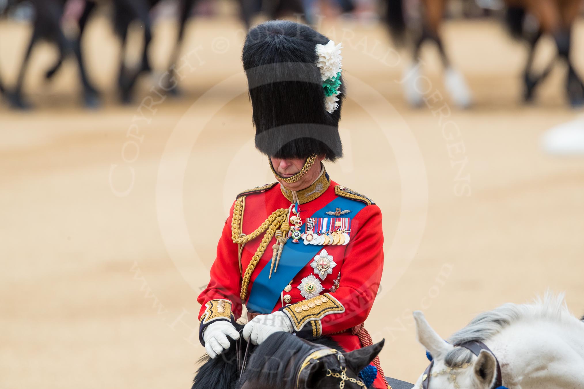 Trooping the Colour 2016.
Horse Guards Parade, Westminster,
London SW1A,
London,
United Kingdom,
on 11 June 2016 at 11:01, image #337