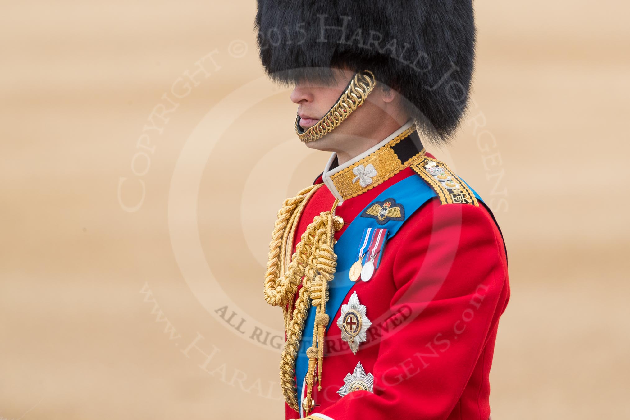 Trooping the Colour 2016.
Horse Guards Parade, Westminster,
London SW1A,
London,
United Kingdom,
on 11 June 2016 at 11:01, image #348