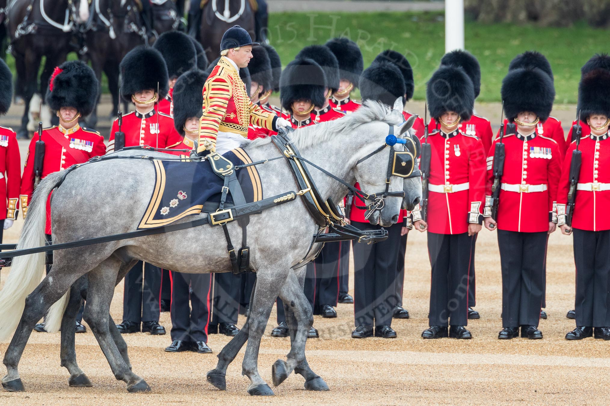 Trooping the Colour 2016.
Horse Guards Parade, Westminster,
London SW1A,
London,
United Kingdom,
on 11 June 2016 at 11:03, image #369
