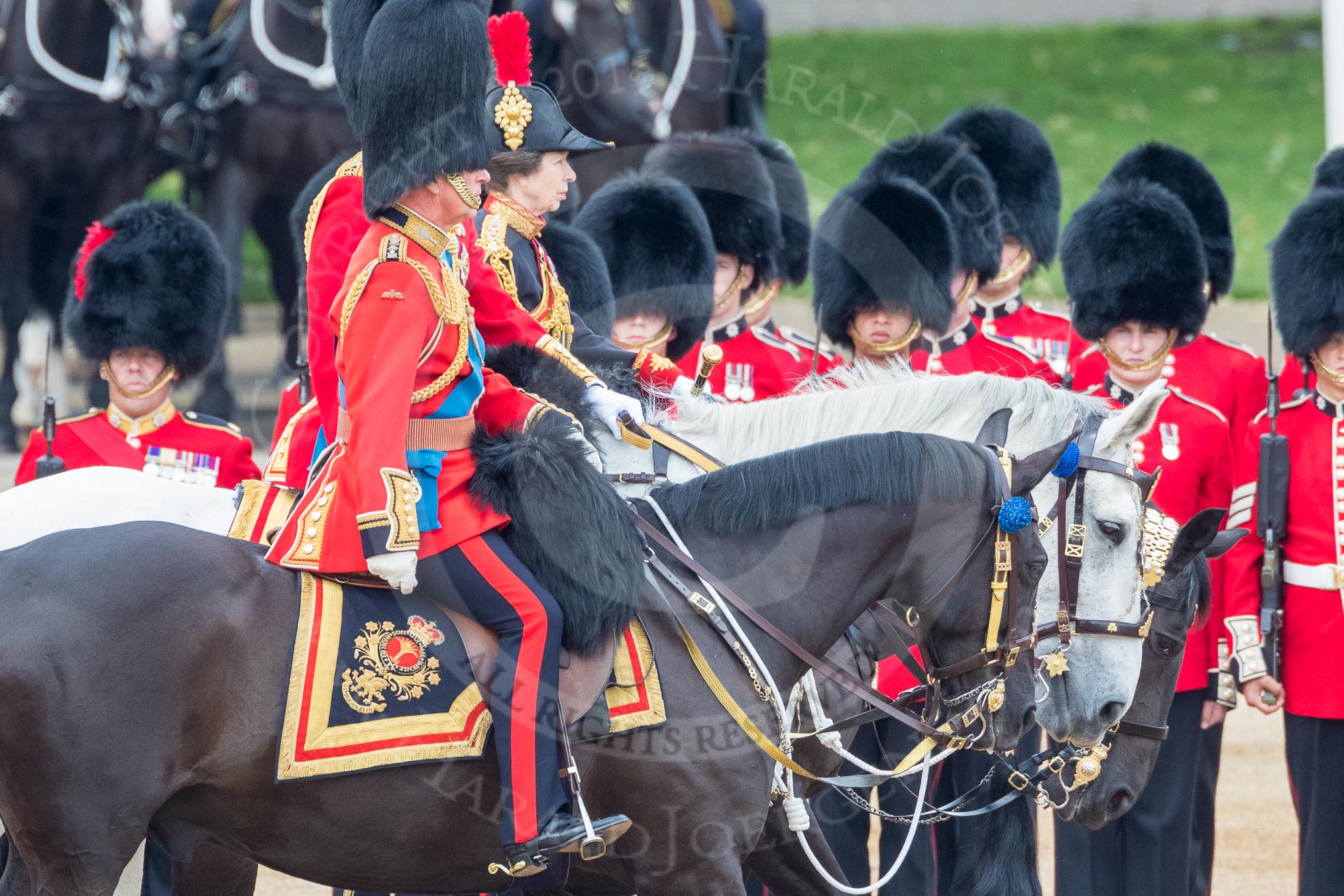 Trooping the Colour 2016.
Horse Guards Parade, Westminster,
London SW1A,
London,
United Kingdom,
on 11 June 2016 at 11:03, image #374