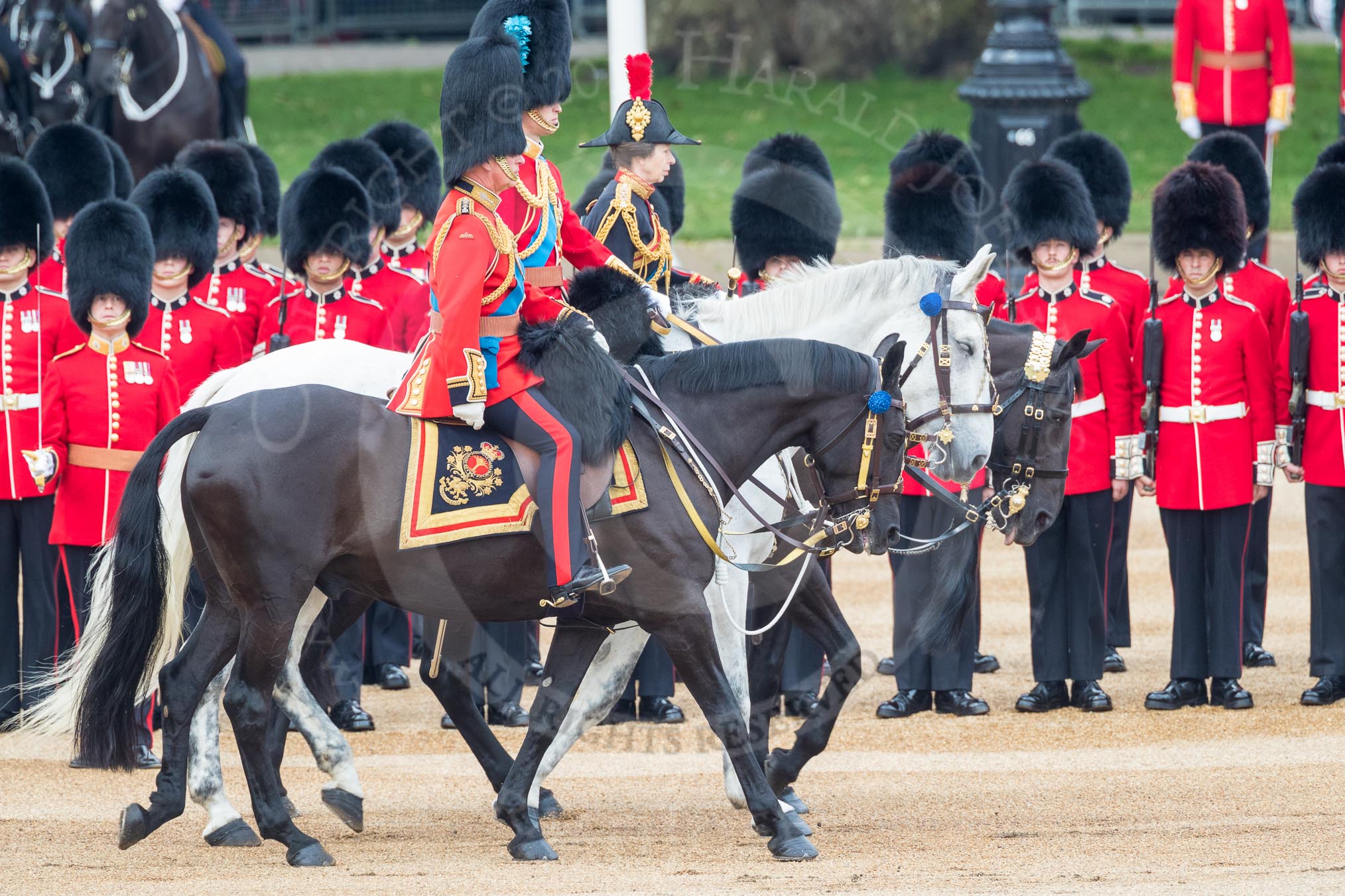 Trooping the Colour 2016.
Horse Guards Parade, Westminster,
London SW1A,
London,
United Kingdom,
on 11 June 2016 at 11:03, image #375