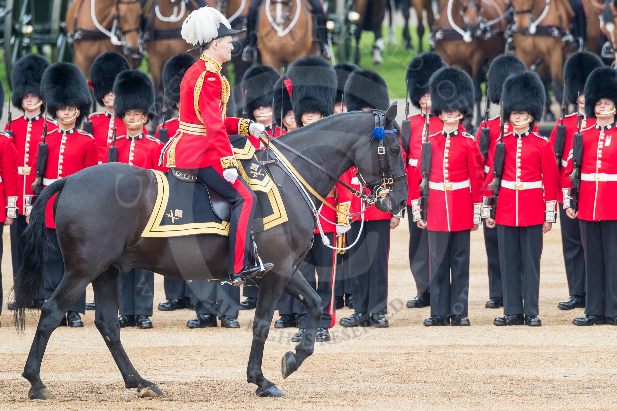 Trooping the Colour 2016.
Horse Guards Parade, Westminster,
London SW1A,
London,
United Kingdom,
on 11 June 2016 at 11:03, image #380