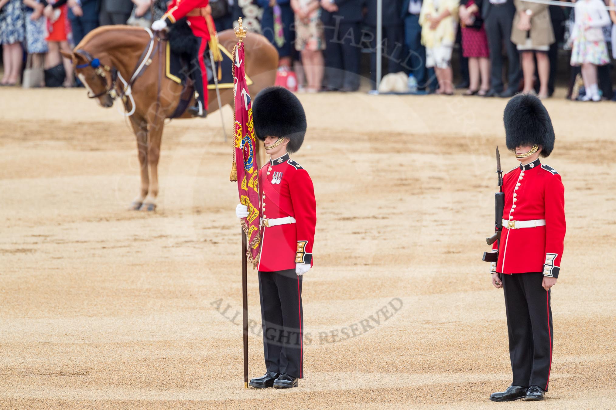 Trooping the Colour 2016.
Horse Guards Parade, Westminster,
London SW1A,
London,
United Kingdom,
on 11 June 2016 at 11:15, image #455