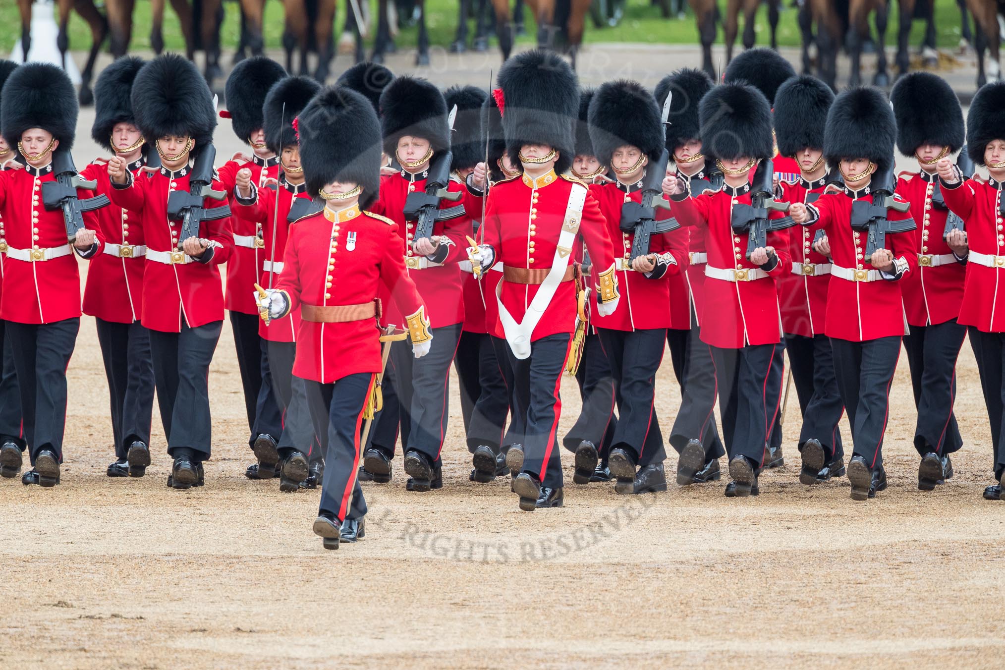 Trooping the Colour 2016.
Horse Guards Parade, Westminster,
London SW1A,
London,
United Kingdom,
on 11 June 2016 at 11:17, image #474