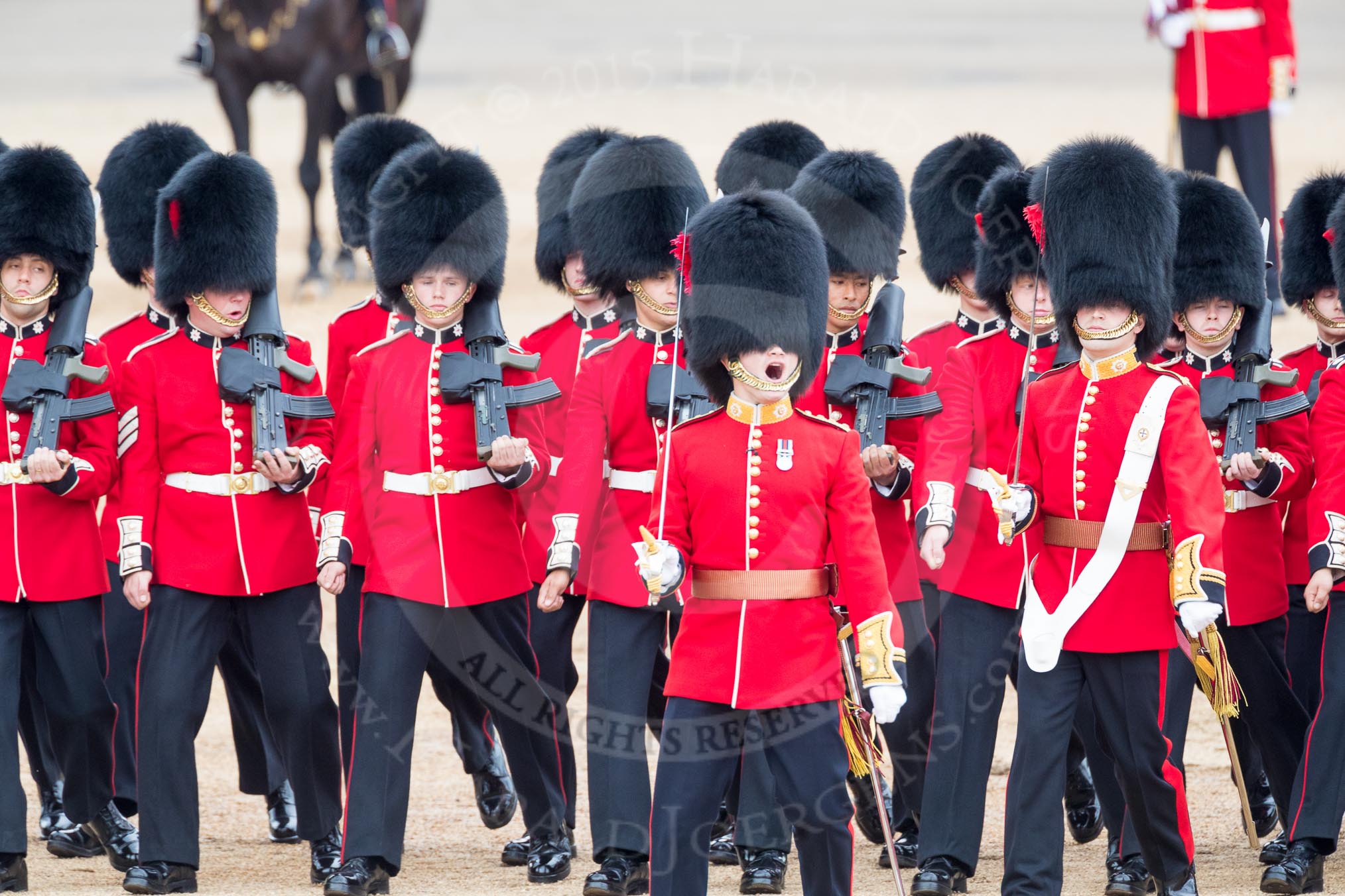 Trooping the Colour 2016.
Horse Guards Parade, Westminster,
London SW1A,
London,
United Kingdom,
on 11 June 2016 at 11:18, image #478