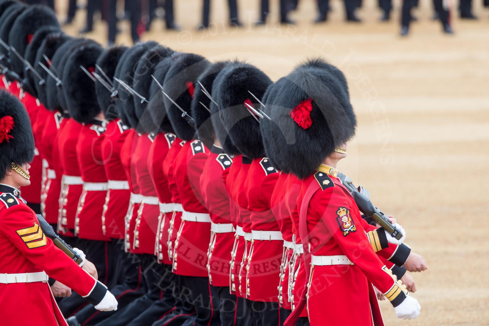 Trooping the Colour 2016.
Horse Guards Parade, Westminster,
London SW1A,
London,
United Kingdom,
on 11 June 2016 at 11:18, image #496