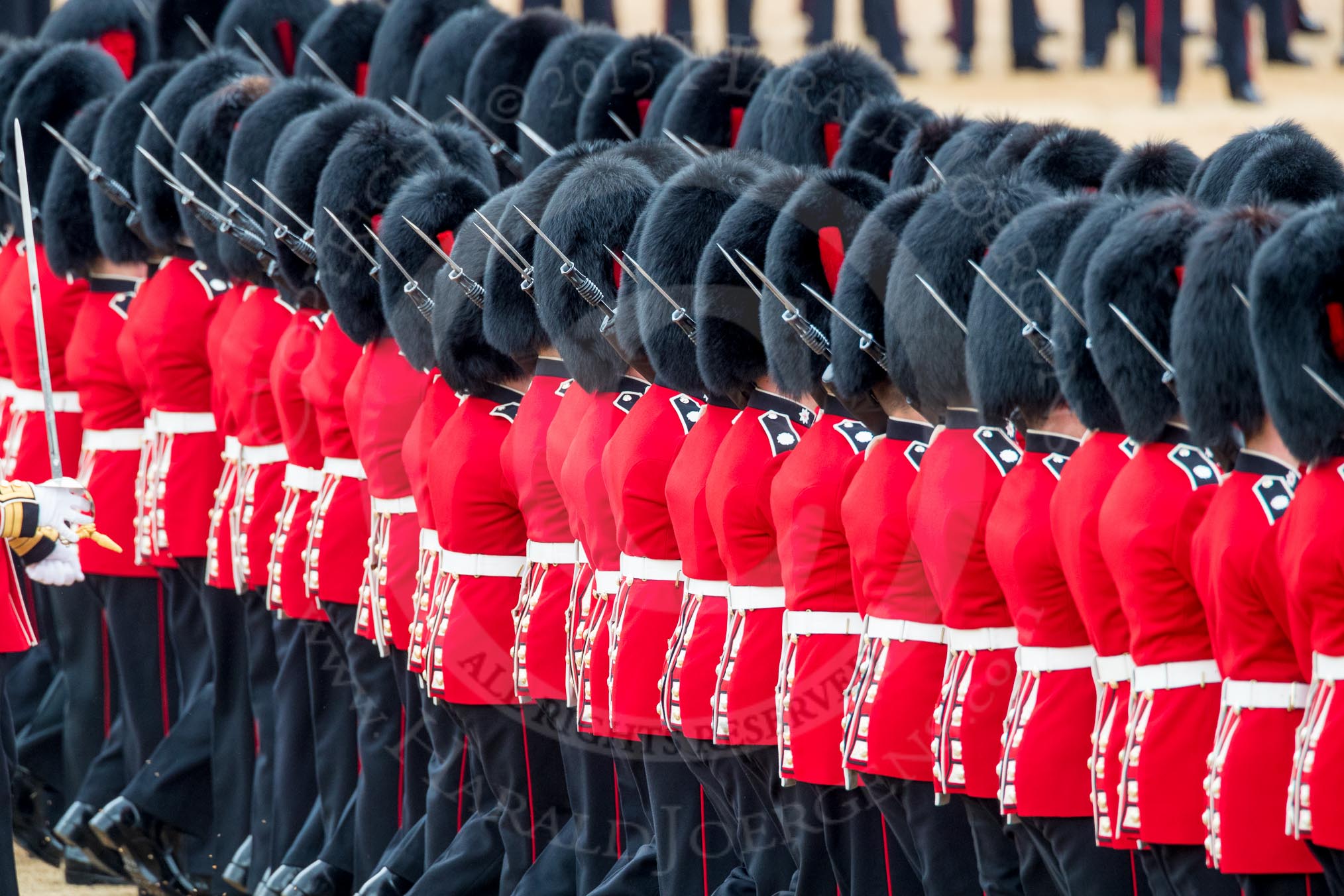 Trooping the Colour 2016.
Horse Guards Parade, Westminster,
London SW1A,
London,
United Kingdom,
on 11 June 2016 at 11:19, image #499
