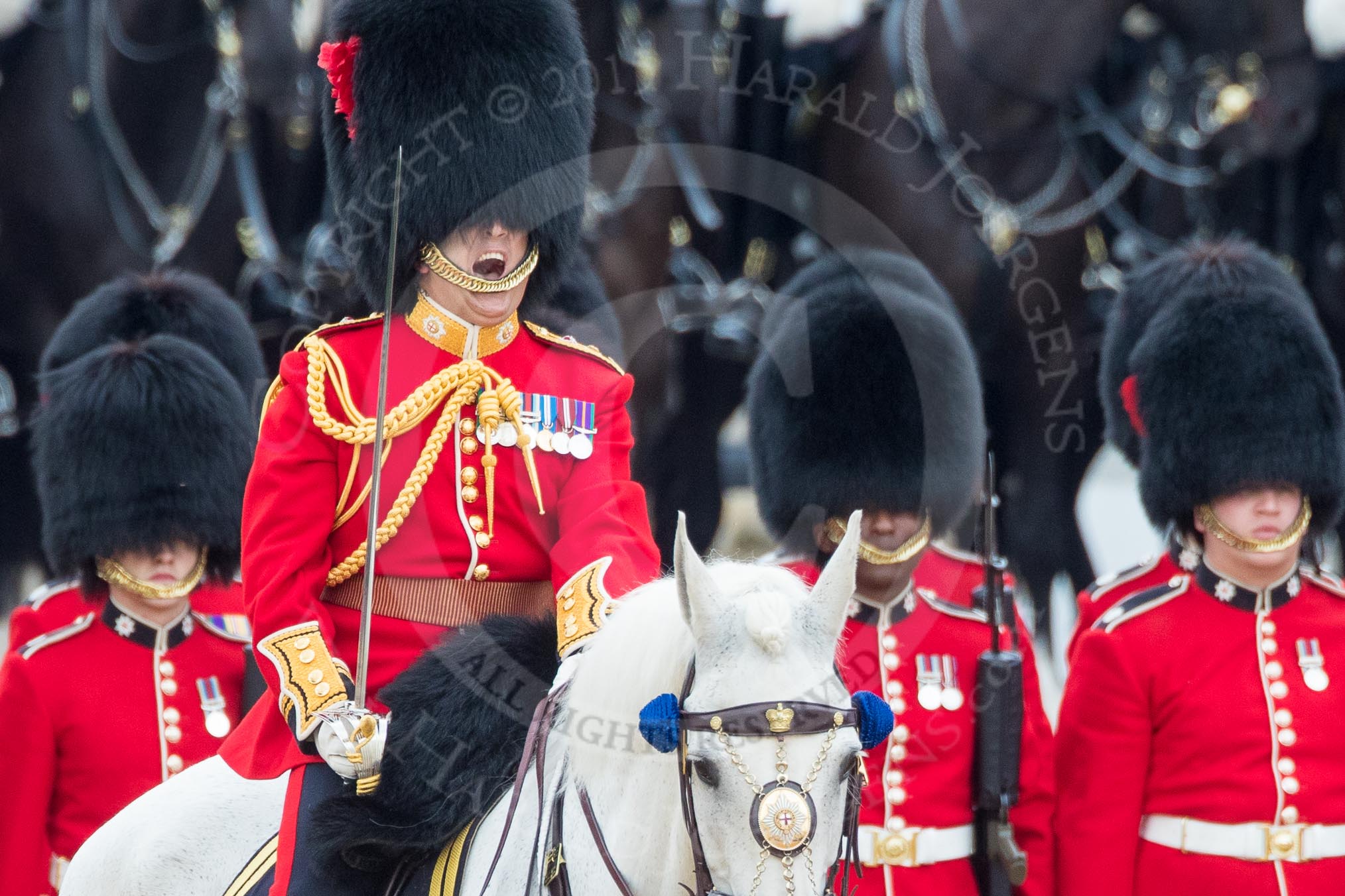 Trooping the Colour 2016.
Horse Guards Parade, Westminster,
London SW1A,
London,
United Kingdom,
on 11 June 2016 at 11:19, image #505