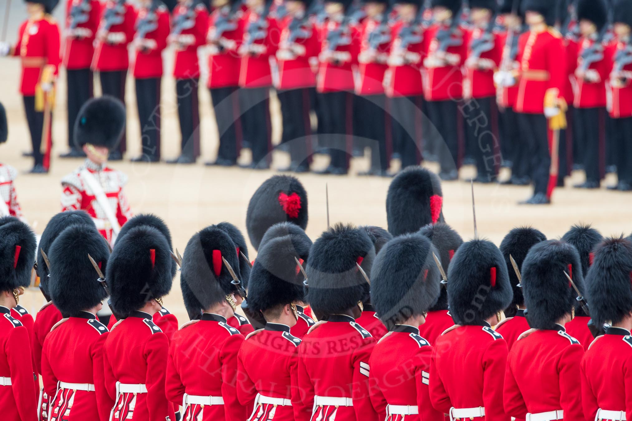 Trooping the Colour 2016.
Horse Guards Parade, Westminster,
London SW1A,
London,
United Kingdom,
on 11 June 2016 at 11:20, image #507