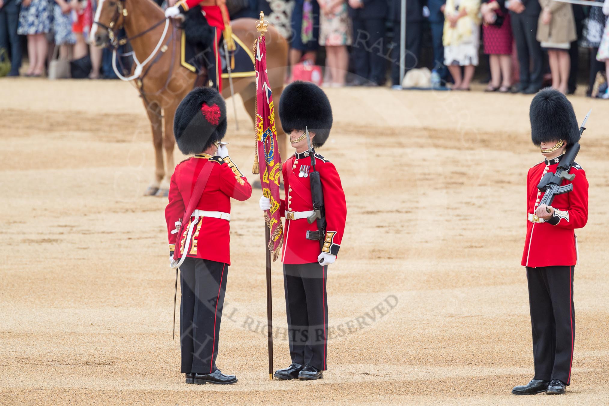 Trooping the Colour 2016.
Horse Guards Parade, Westminster,
London SW1A,
London,
United Kingdom,
on 11 June 2016 at 11:20, image #510