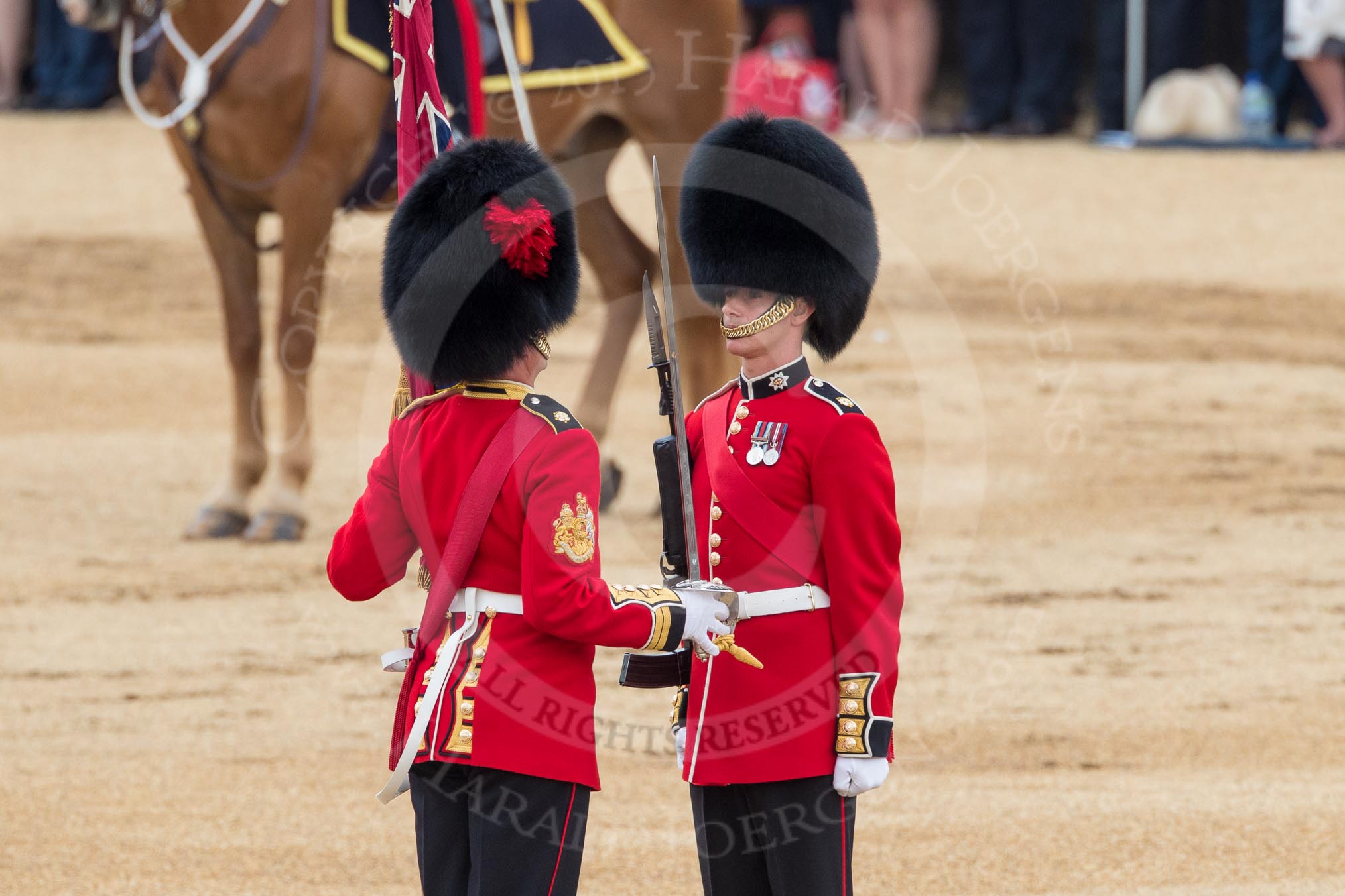 Trooping the Colour 2016.
Horse Guards Parade, Westminster,
London SW1A,
London,
United Kingdom,
on 11 June 2016 at 11:21, image #517