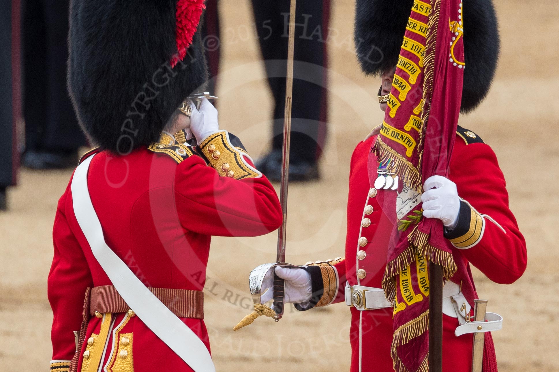 Trooping the Colour 2016.
Horse Guards Parade, Westminster,
London SW1A,
London,
United Kingdom,
on 11 June 2016 at 11:21, image #522