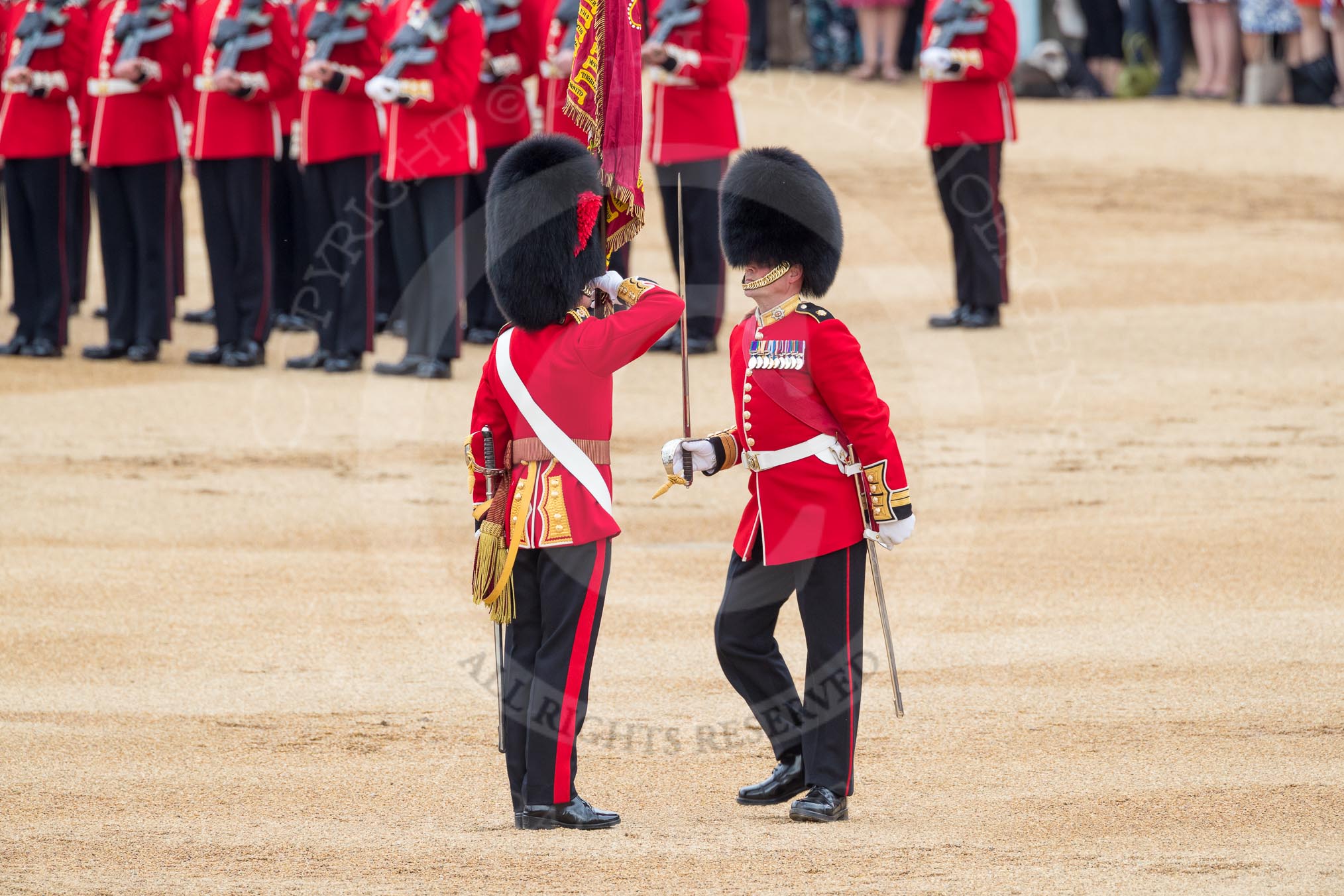 Trooping the Colour 2016.
Horse Guards Parade, Westminster,
London SW1A,
London,
United Kingdom,
on 11 June 2016 at 11:21, image #527