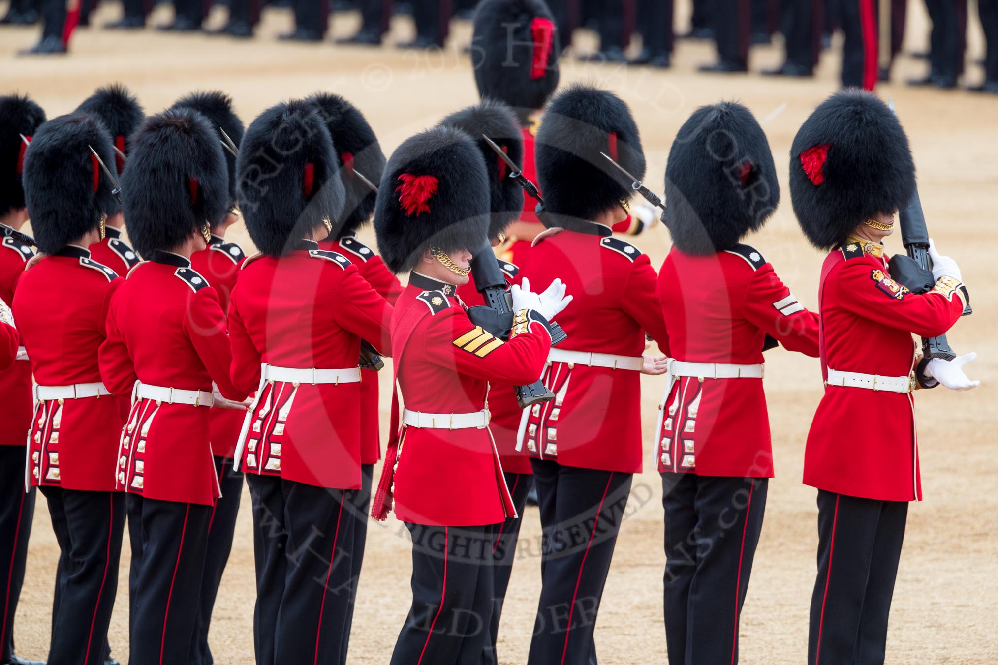 Trooping the Colour 2016.
Horse Guards Parade, Westminster,
London SW1A,
London,
United Kingdom,
on 11 June 2016 at 11:22, image #533