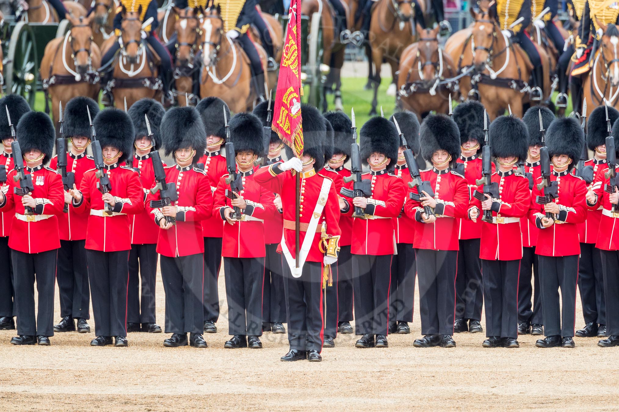 Trooping the Colour 2016.
Horse Guards Parade, Westminster,
London SW1A,
London,
United Kingdom,
on 11 June 2016 at 11:29, image #583