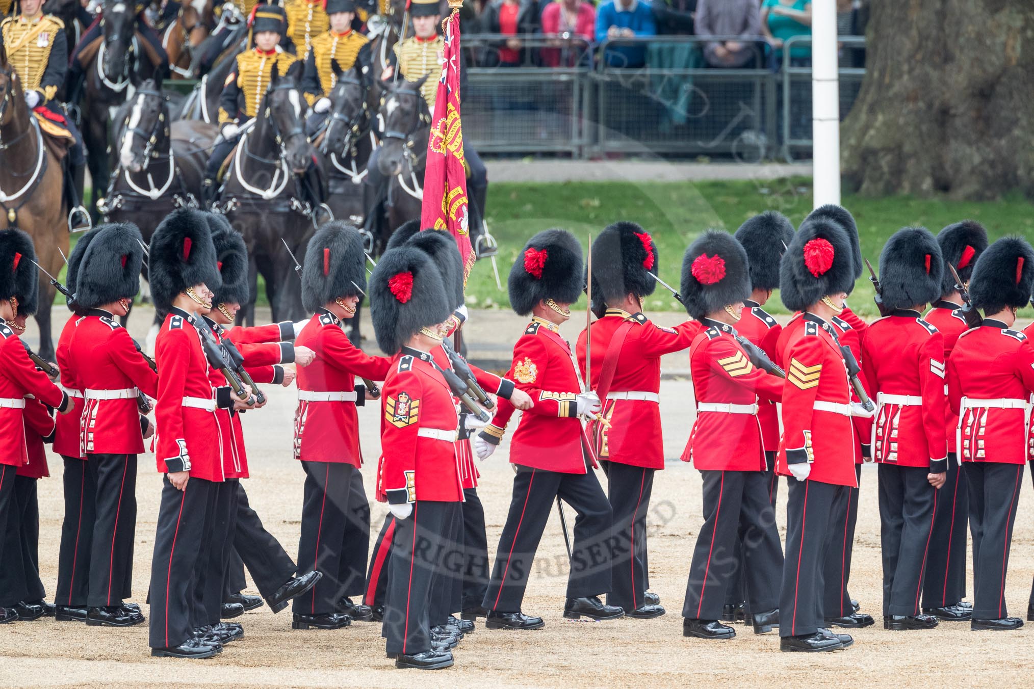 Trooping the Colour 2016.
Horse Guards Parade, Westminster,
London SW1A,
London,
United Kingdom,
on 11 June 2016 at 11:31, image #591