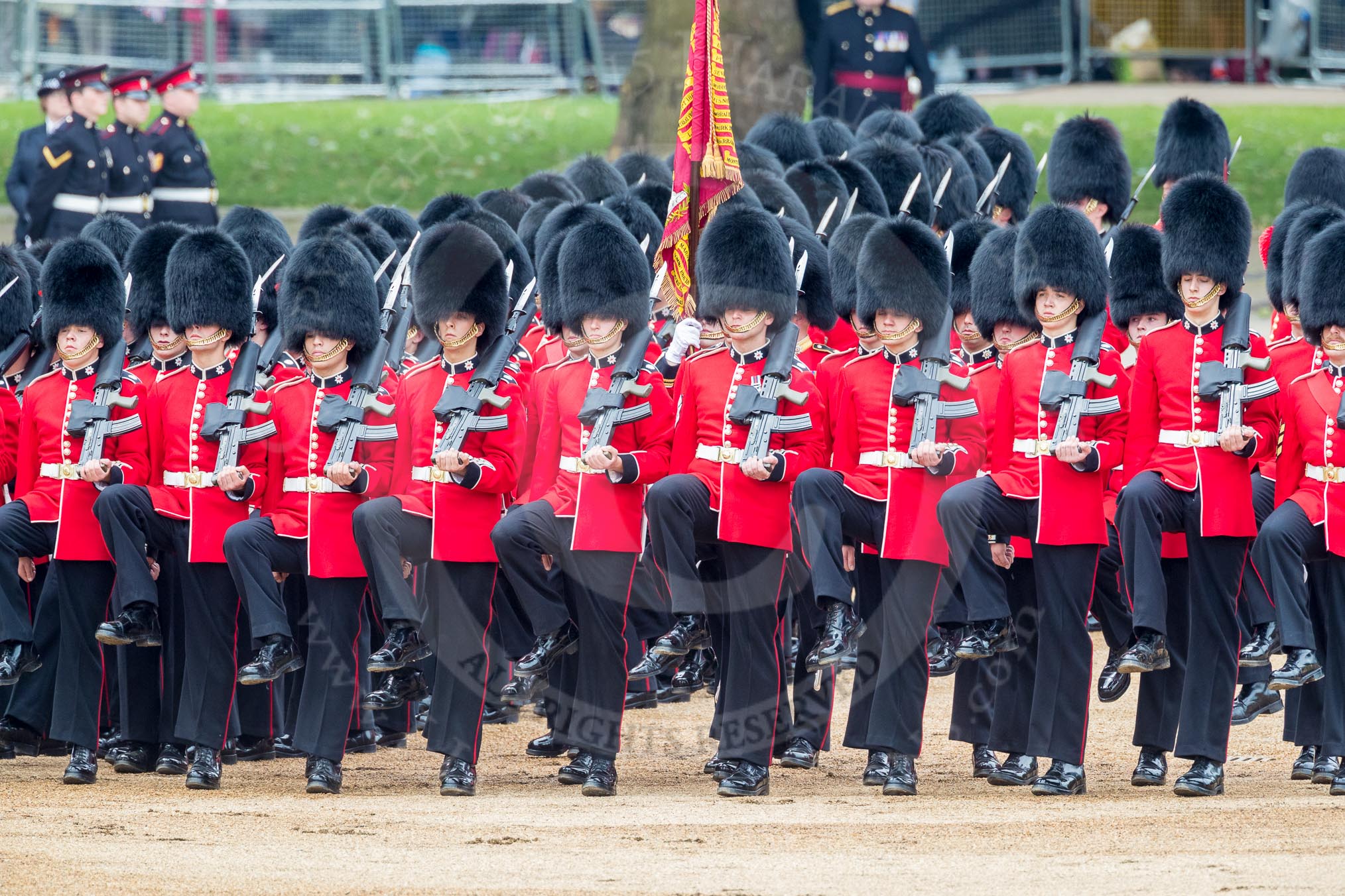 Trooping the Colour 2016.
Horse Guards Parade, Westminster,
London SW1A,
London,
United Kingdom,
on 11 June 2016 at 11:33, image #617