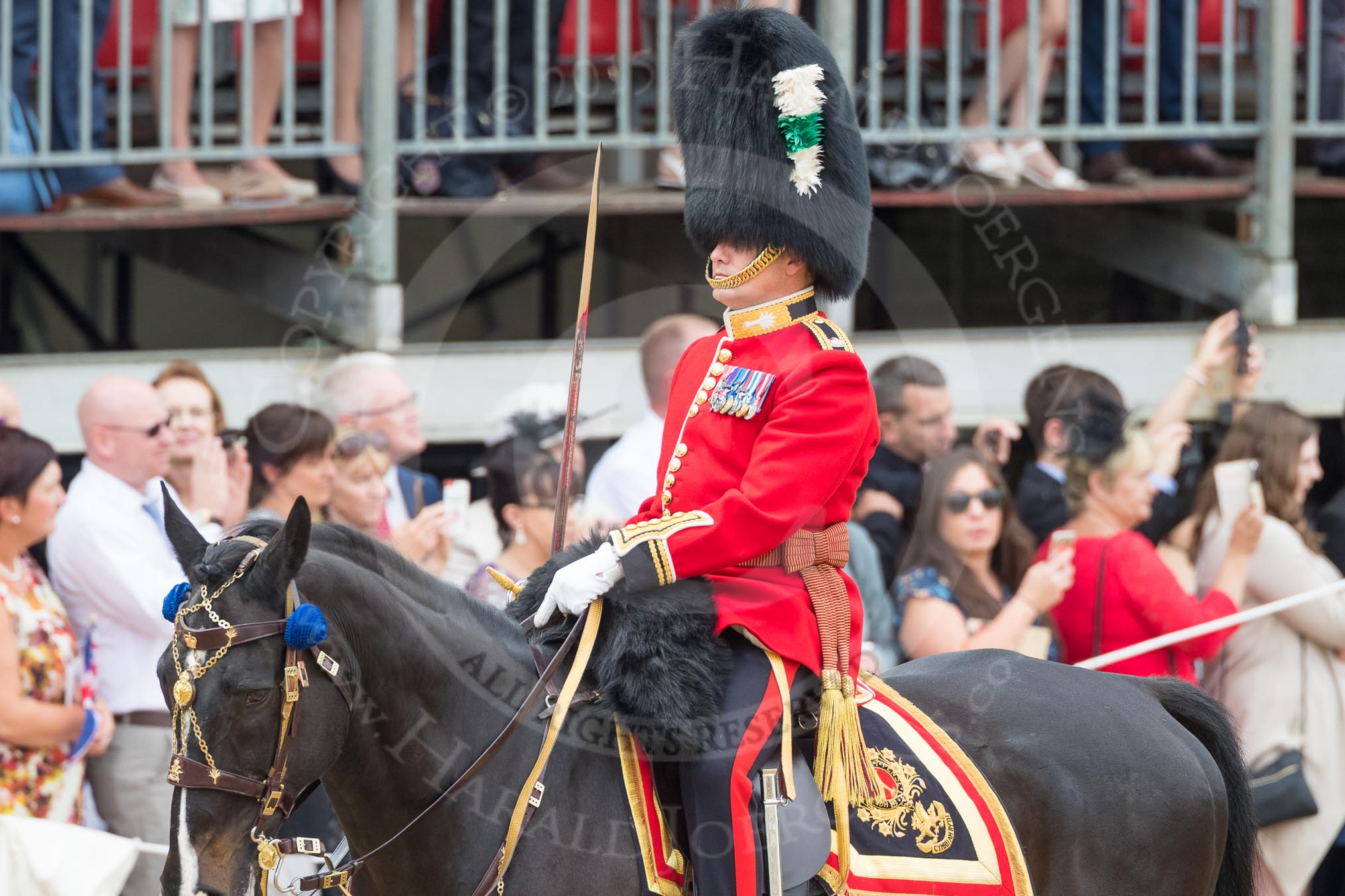 Trooping the Colour 2016.
Horse Guards Parade, Westminster,
London SW1A,
London,
United Kingdom,
on 11 June 2016 at 11:35, image #624