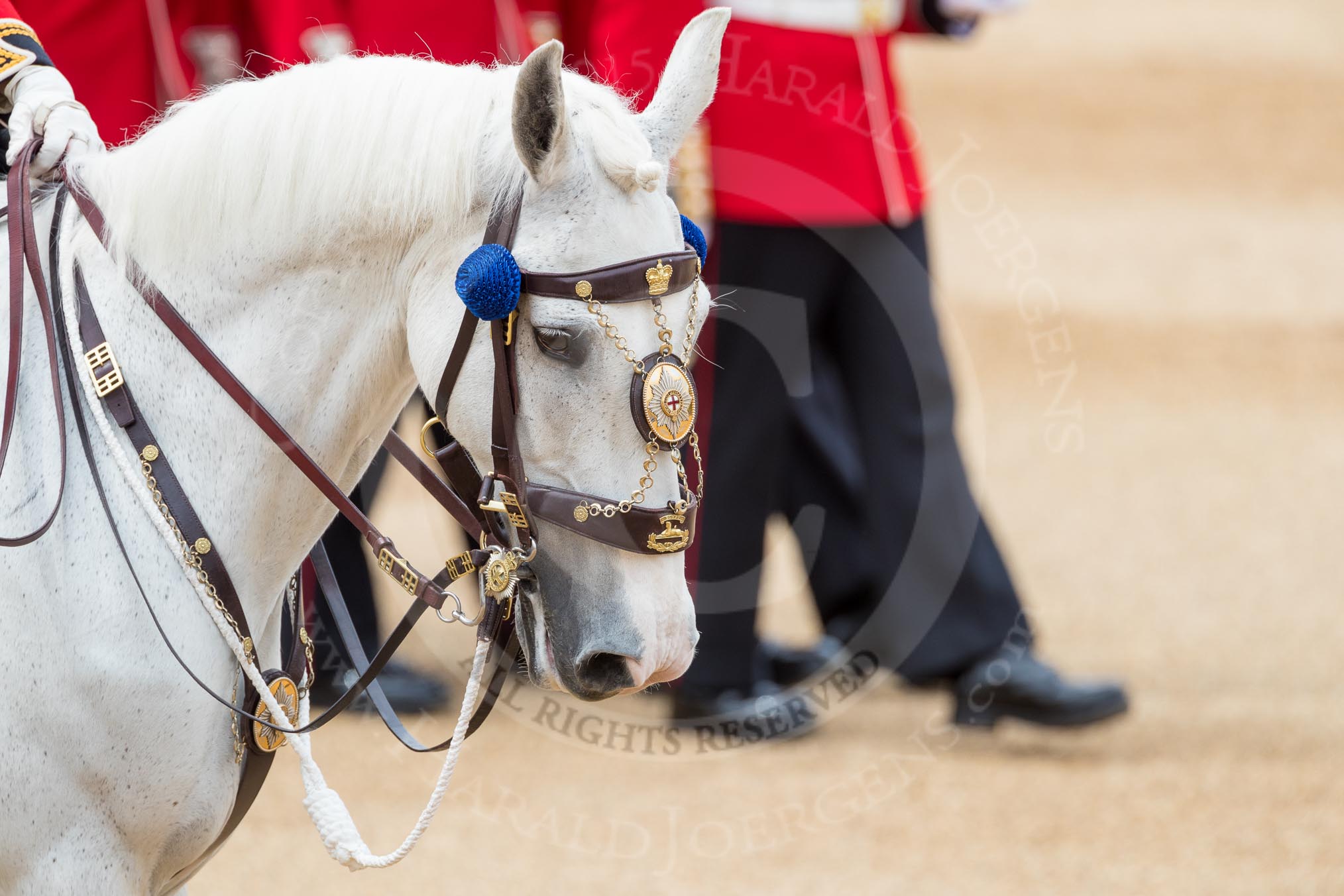 Trooping the Colour 2016.
Horse Guards Parade, Westminster,
London SW1A,
London,
United Kingdom,
on 11 June 2016 at 11:35, image #630