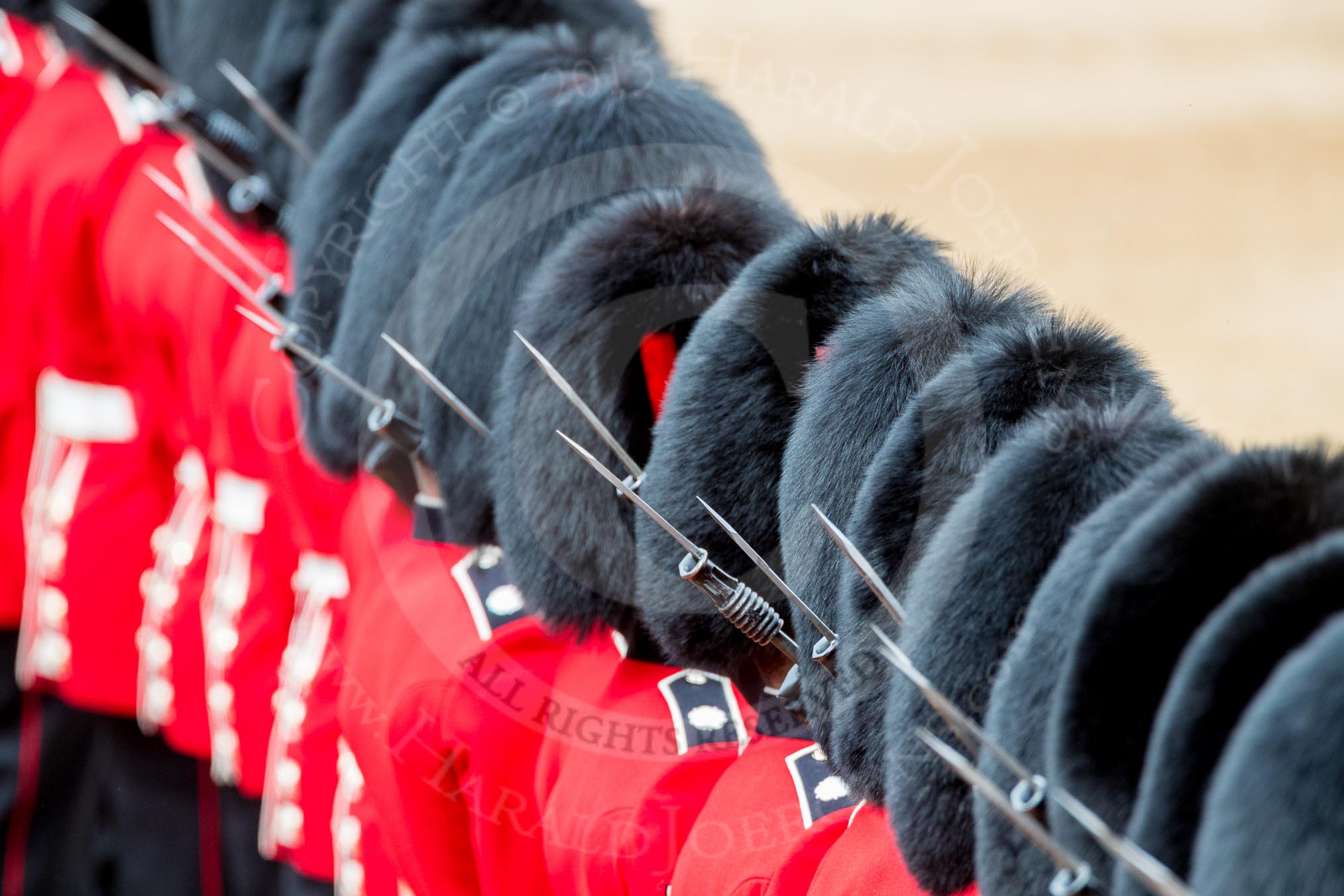 Trooping the Colour 2016.
Horse Guards Parade, Westminster,
London SW1A,
London,
United Kingdom,
on 11 June 2016 at 11:38, image #657