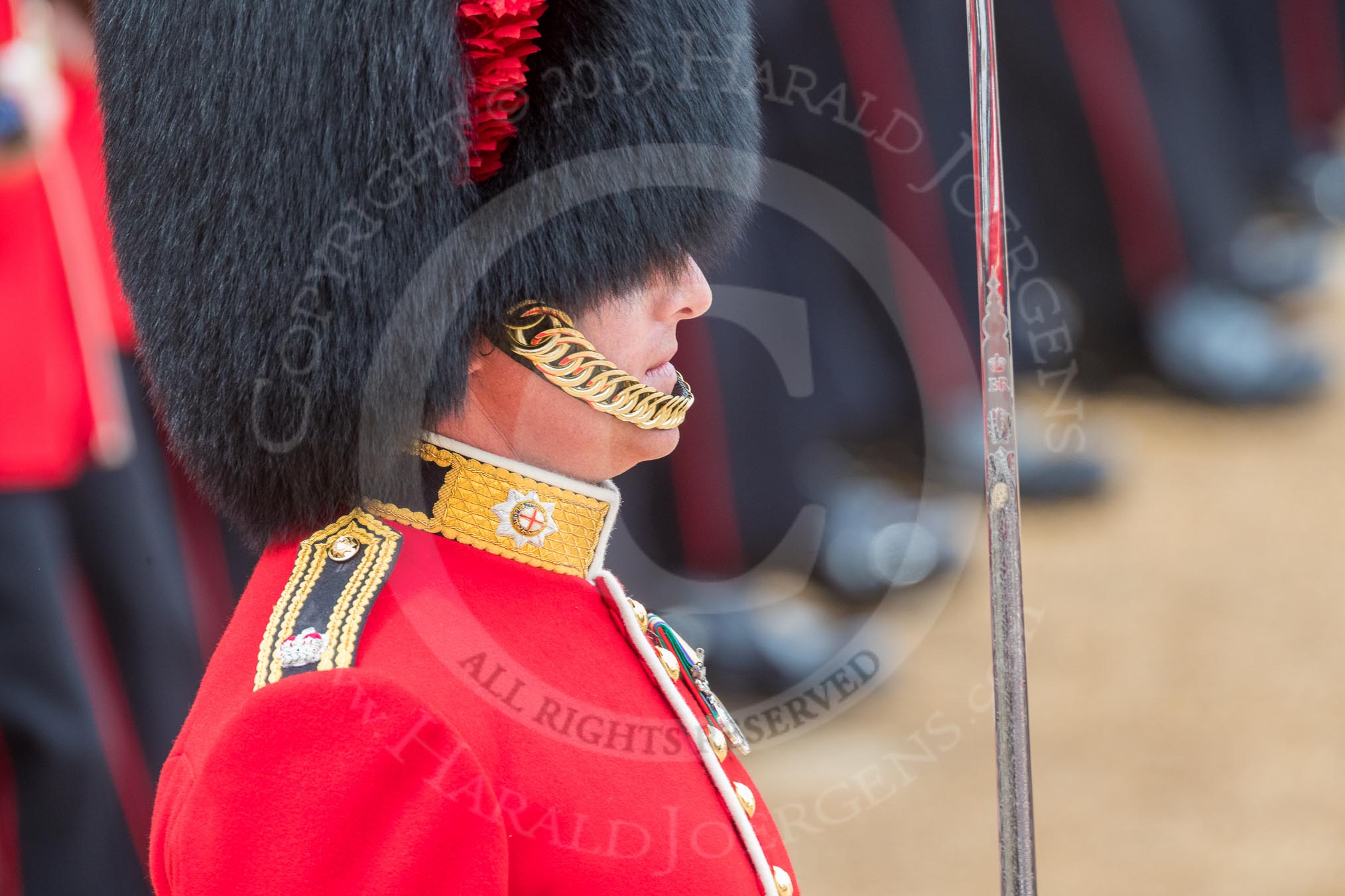 Trooping the Colour 2016.
Horse Guards Parade, Westminster,
London SW1A,
London,
United Kingdom,
on 11 June 2016 at 11:38, image #661