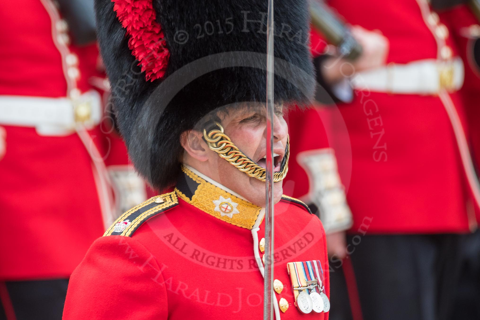 Trooping the Colour 2016.
Horse Guards Parade, Westminster,
London SW1A,
London,
United Kingdom,
on 11 June 2016 at 11:38, image #662