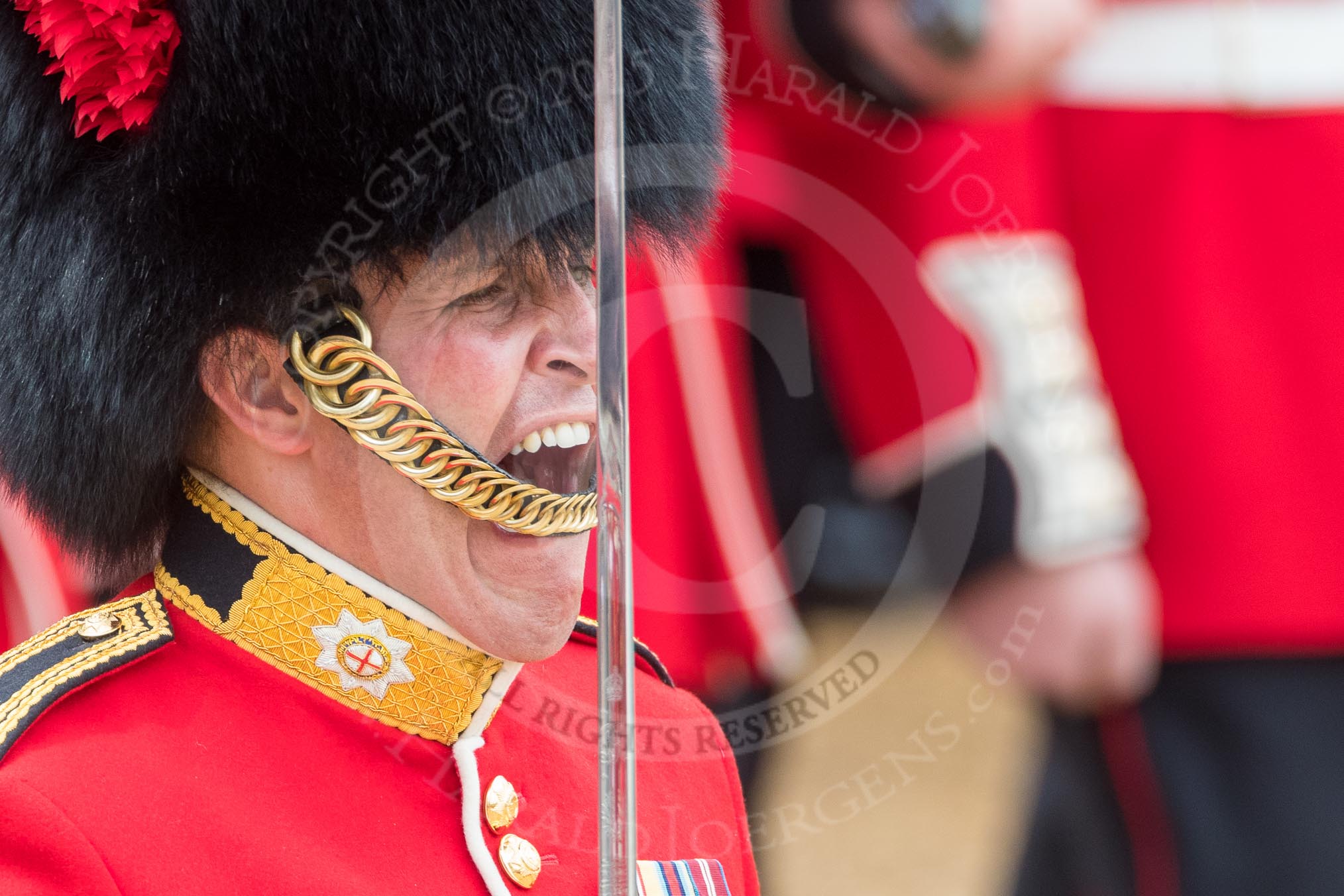 Trooping the Colour 2016.
Horse Guards Parade, Westminster,
London SW1A,
London,
United Kingdom,
on 11 June 2016 at 11:38, image #663