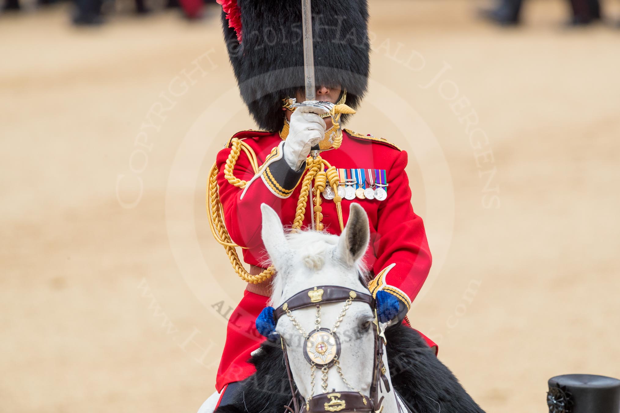 Trooping the Colour 2016.
Horse Guards Parade, Westminster,
London SW1A,
London,
United Kingdom,
on 11 June 2016 at 11:41, image #685