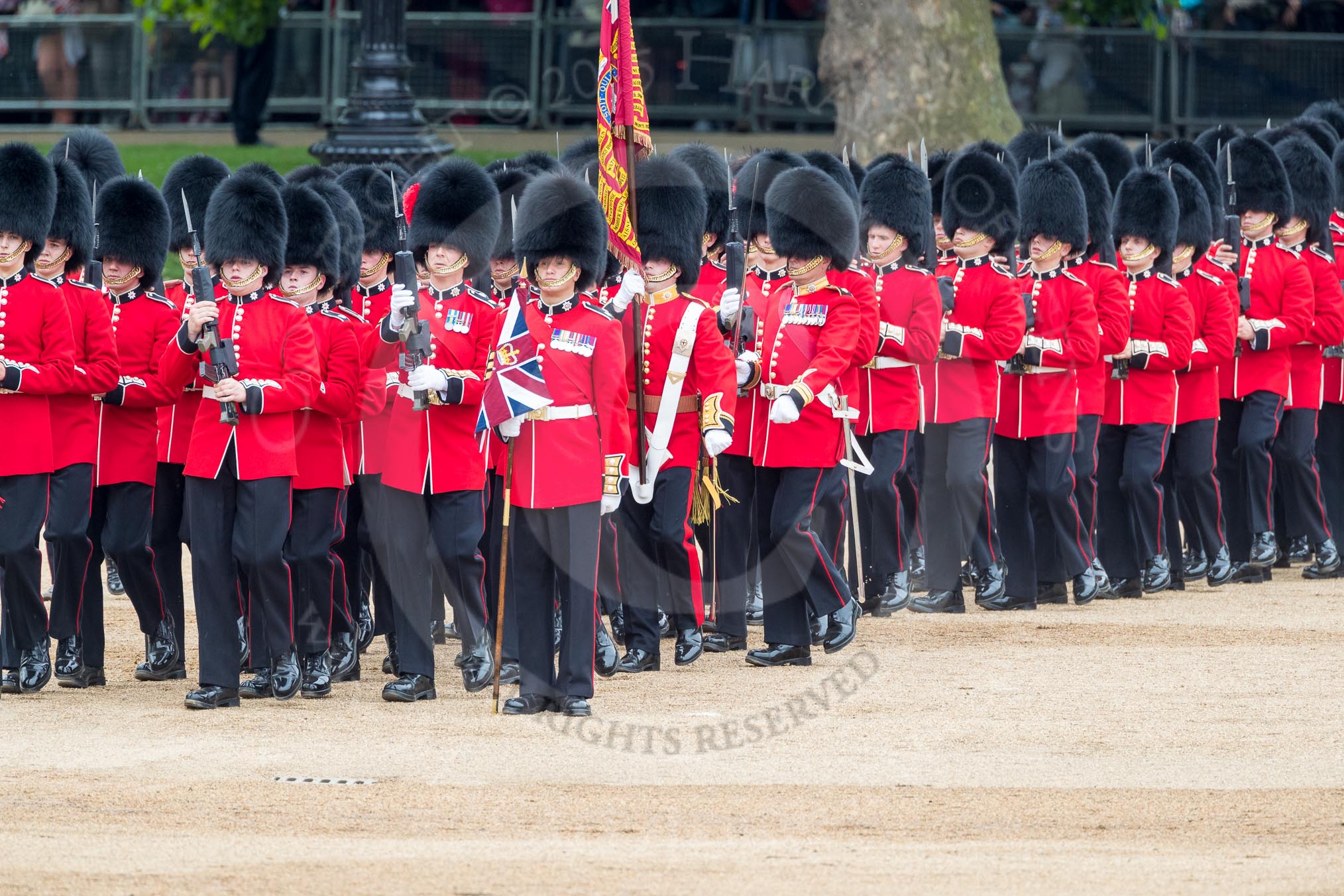 Trooping the Colour 2016.
Horse Guards Parade, Westminster,
London SW1A,
London,
United Kingdom,
on 11 June 2016 at 11:44, image #691
