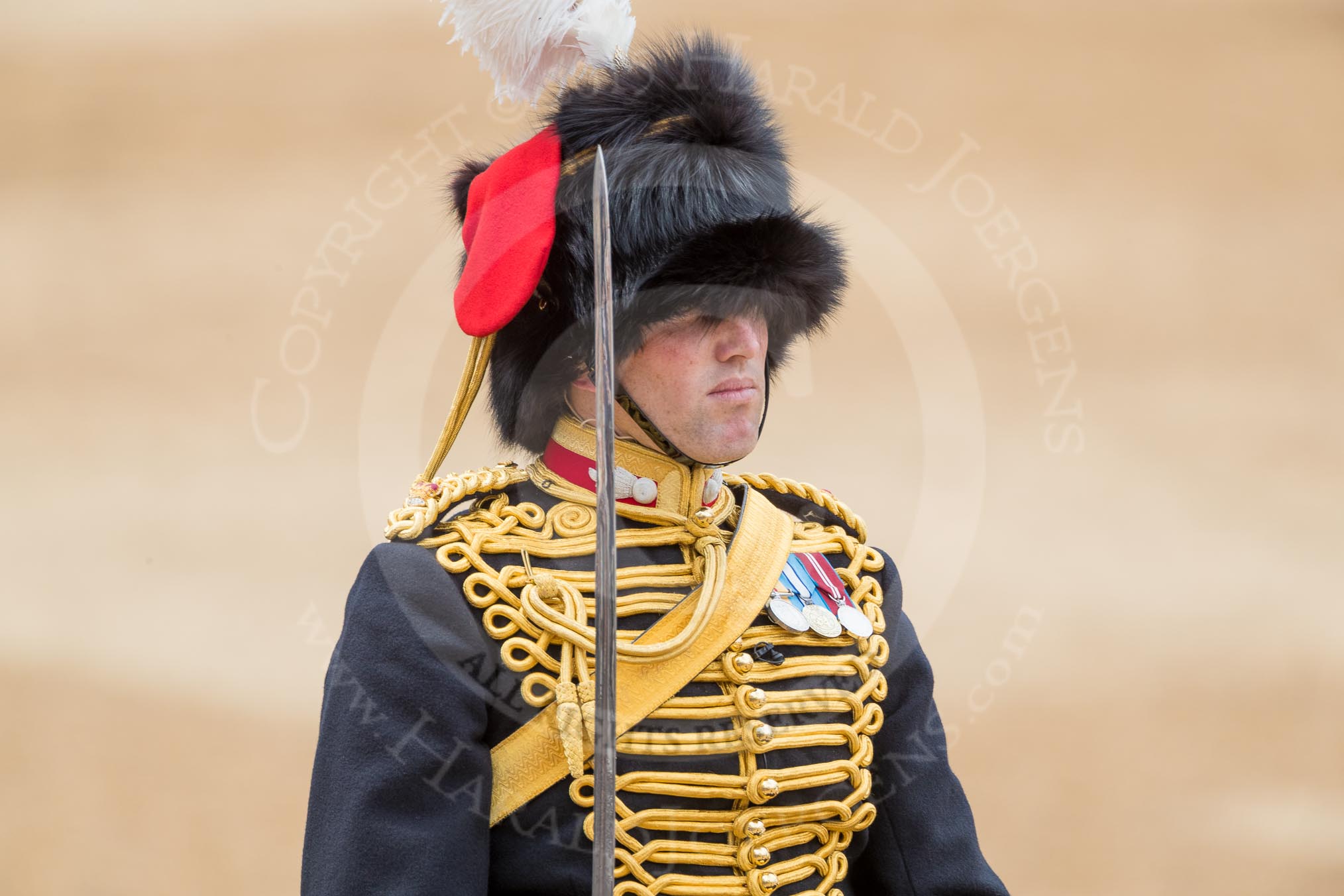 Trooping the Colour 2016.
Horse Guards Parade, Westminster,
London SW1A,
London,
United Kingdom,
on 11 June 2016 at 11:55, image #751