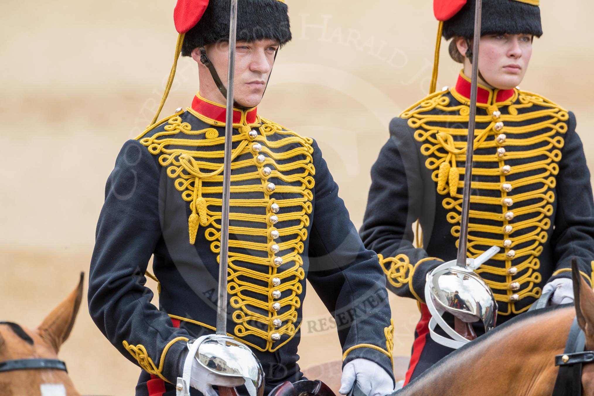 Trooping the Colour 2016.
Horse Guards Parade, Westminster,
London SW1A,
London,
United Kingdom,
on 11 June 2016 at 11:56, image #757