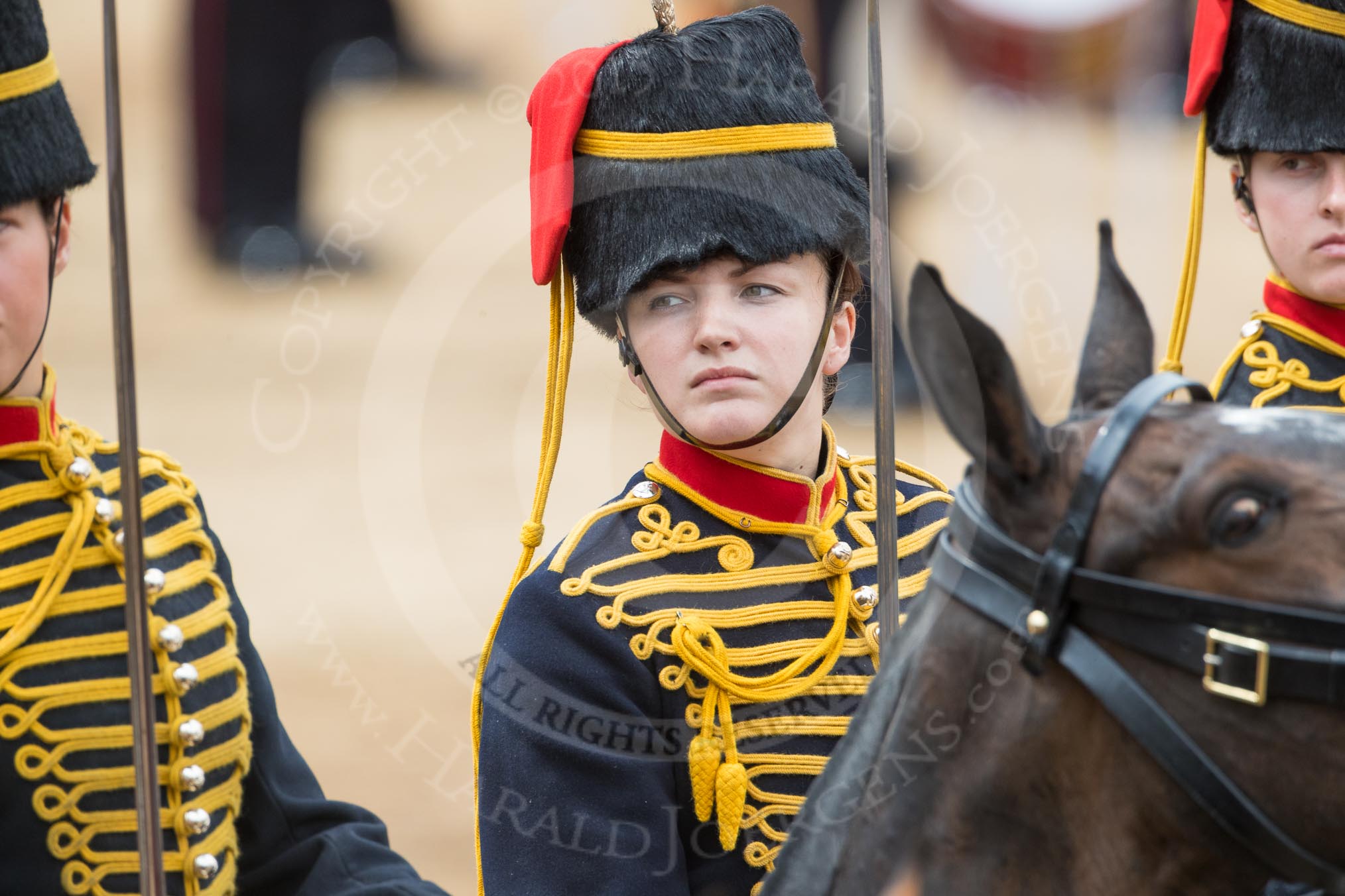 Trooping the Colour 2016.
Horse Guards Parade, Westminster,
London SW1A,
London,
United Kingdom,
on 11 June 2016 at 11:56, image #762