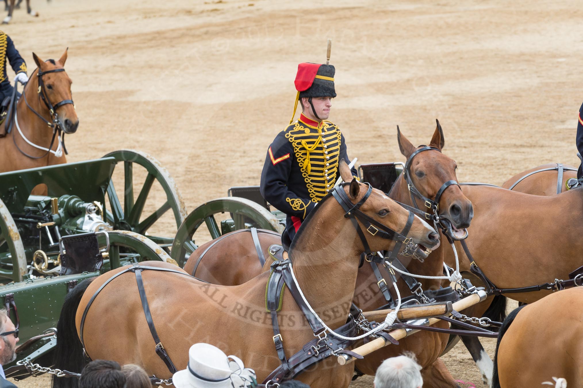 Trooping the Colour 2016.
Horse Guards Parade, Westminster,
London SW1A,
London,
United Kingdom,
on 11 June 2016 at 12:00, image #795