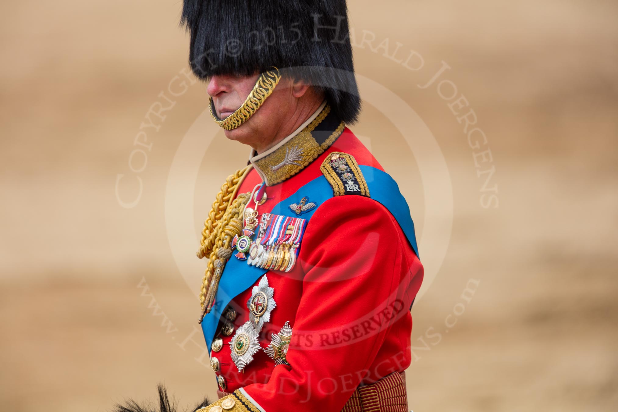 Trooping the Colour 2016.
Horse Guards Parade, Westminster,
London SW1A,
London,
United Kingdom,
on 11 June 2016 at 12:13, image #884
