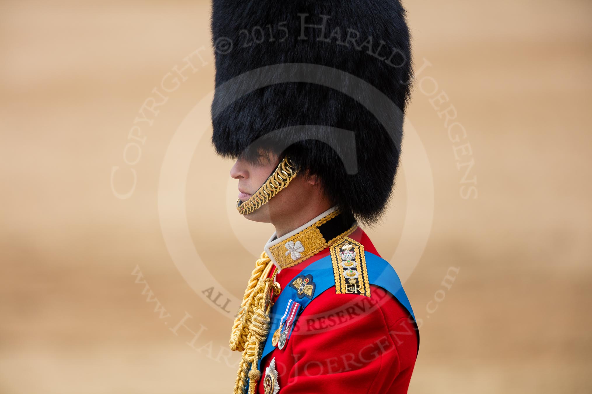 Trooping the Colour 2016.
Horse Guards Parade, Westminster,
London SW1A,
London,
United Kingdom,
on 11 June 2016 at 12:13, image #885