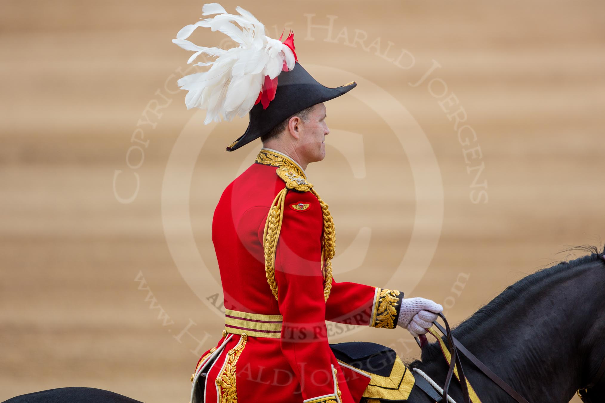 Trooping the Colour 2016.
Horse Guards Parade, Westminster,
London SW1A,
London,
United Kingdom,
on 11 June 2016 at 12:14, image #900
