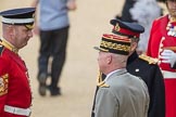 Trooping the Colour 2016.
Horse Guards Parade, Westminster,
London SW1A,
London,
United Kingdom,
on 11 June 2016 at 09:42, image #37