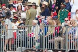 Trooping the Colour 2016.
Horse Guards Parade, Westminster,
London SW1A,
London,
United Kingdom,
on 11 June 2016 at 10:12, image #81