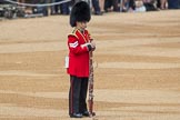 Trooping the Colour 2016.
Horse Guards Parade, Westminster,
London SW1A,
London,
United Kingdom,
on 11 June 2016 at 10:13, image #84