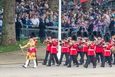 Trooping the Colour 2016.
Horse Guards Parade, Westminster,
London SW1A,
London,
United Kingdom,
on 11 June 2016 at 10:13, image #85