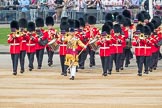 Trooping the Colour 2016.
Horse Guards Parade, Westminster,
London SW1A,
London,
United Kingdom,
on 11 June 2016 at 10:15, image #91