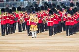 Trooping the Colour 2016.
Horse Guards Parade, Westminster,
London SW1A,
London,
United Kingdom,
on 11 June 2016 at 10:15, image #92