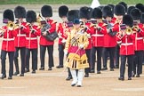 Trooping the Colour 2016.
Horse Guards Parade, Westminster,
London SW1A,
London,
United Kingdom,
on 11 June 2016 at 10:15, image #94