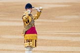 Trooping the Colour 2016.
Horse Guards Parade, Westminster,
London SW1A,
London,
United Kingdom,
on 11 June 2016 at 10:17, image #97