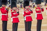 Trooping the Colour 2016.
Horse Guards Parade, Westminster,
London SW1A,
London,
United Kingdom,
on 11 June 2016 at 10:17, image #98