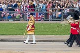 Trooping the Colour 2016.
Horse Guards Parade, Westminster,
London SW1A,
London,
United Kingdom,
on 11 June 2016 at 10:18, image #103