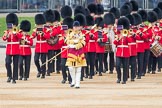 Trooping the Colour 2016.
Horse Guards Parade, Westminster,
London SW1A,
London,
United Kingdom,
on 11 June 2016 at 10:18, image #104