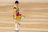 Trooping the Colour 2016.
Horse Guards Parade, Westminster,
London SW1A,
London,
United Kingdom,
on 11 June 2016 at 10:31, image #149