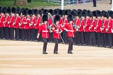 Trooping the Colour 2016.
Horse Guards Parade, Westminster,
London SW1A,
London,
United Kingdom,
on 11 June 2016 at 10:32, image #152