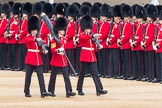 Trooping the Colour 2016.
Horse Guards Parade, Westminster,
London SW1A,
London,
United Kingdom,
on 11 June 2016 at 10:32, image #153